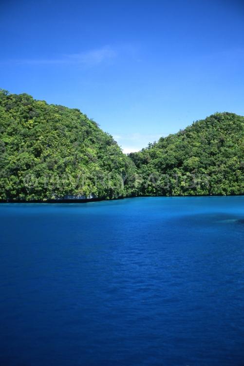 Island;trees;green;blue water